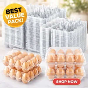 Clear Egg Cartons 12 Count (100 Pack